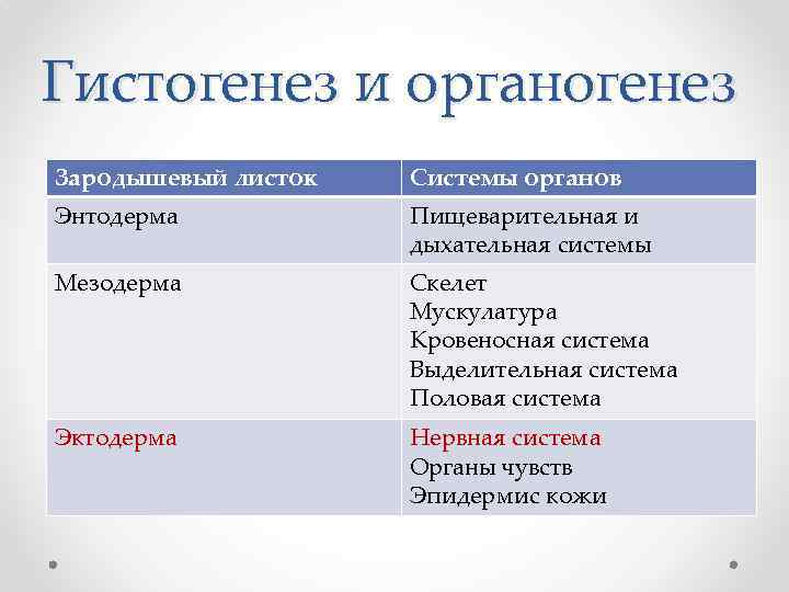 Гистогенез и органогенез Зародышевый листок Системы органов Энтодерма Пищеварительная и дыхательная системы Мезодерма Скелет