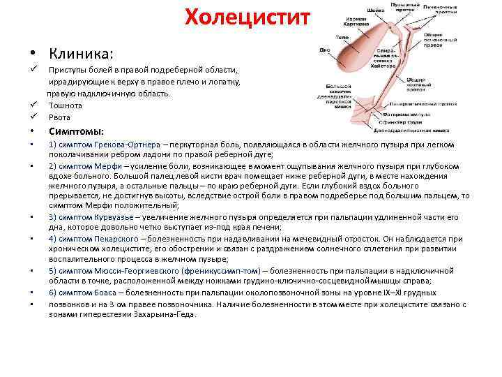 Холецистит • Клиника: ü Приступы болей в правой подреберной области, иррадирующие к верху в