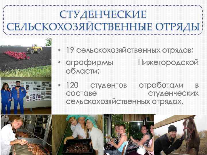  • 19 сельскохозяйственных отрядов; • агрофирмы области; Нижегородской • 120 студентов отработали в