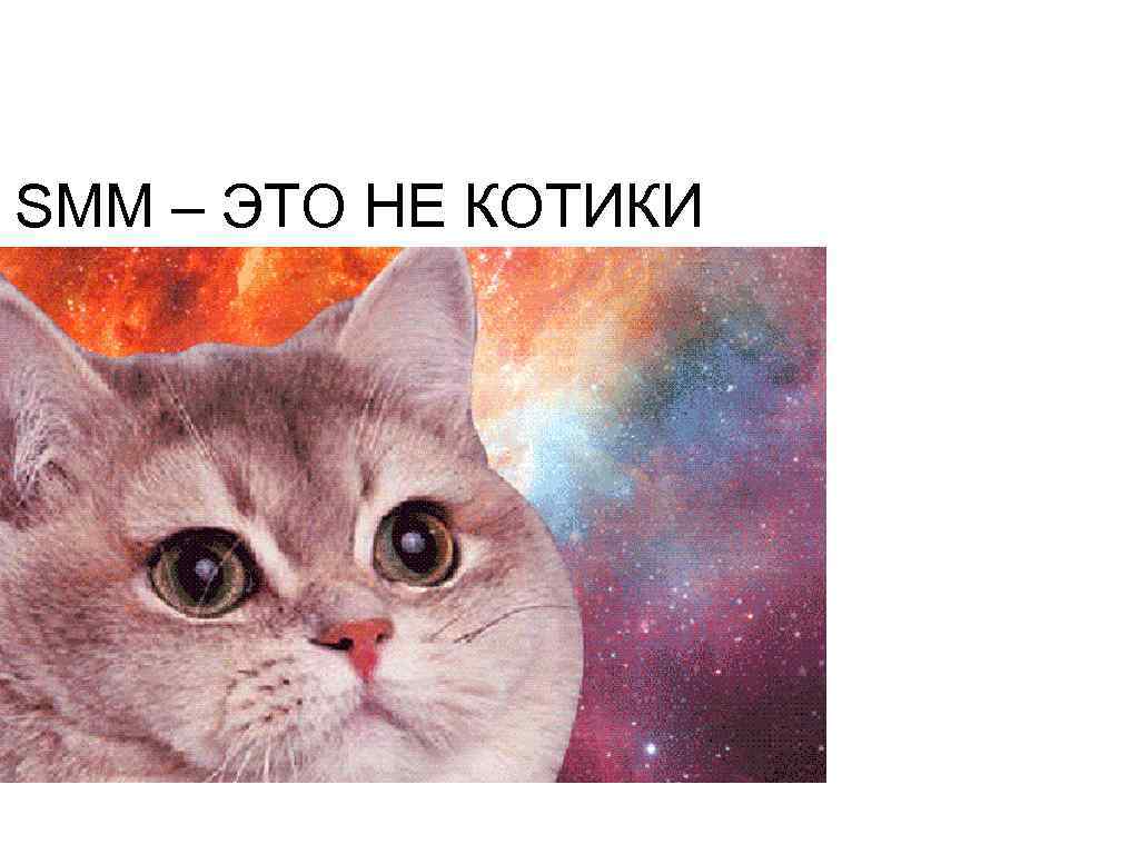 SMM – ЭТО НЕ КОТИКИ 