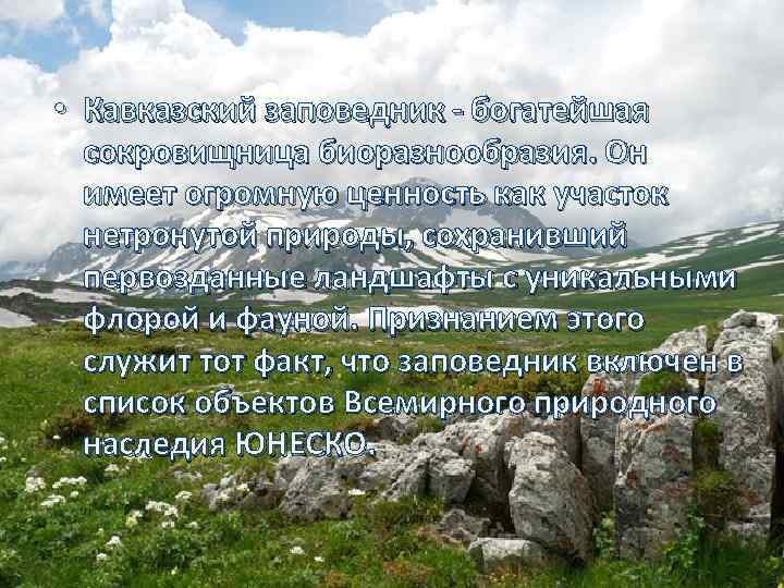  • Кавказский заповедник - богатейшая сокровищница биоразнообразия. Он имеет огромную ценность как участок