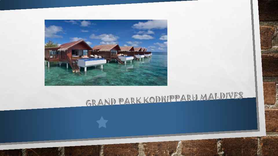 S HIPPARU MALDIVE GRAND PARK KOD 