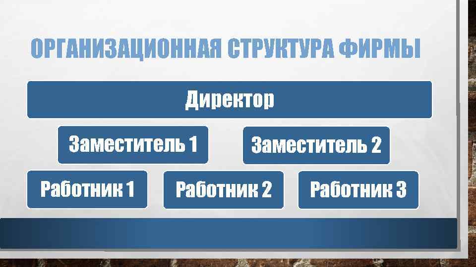 ОРГАНИЗАЦИОННАЯ СТРУКТУРА ФИРМЫ Директор Заместитель 1 Работник 1 Заместитель 2 Работник 3 