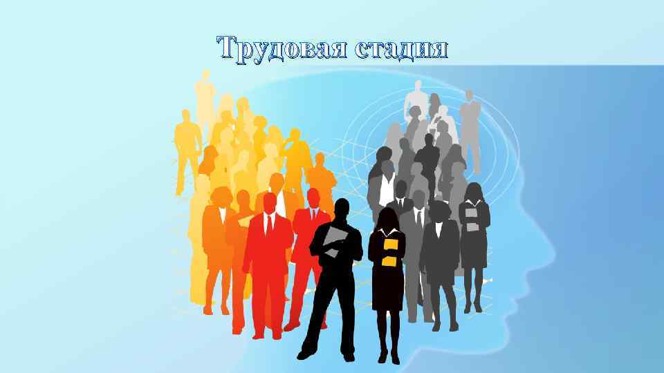 Трудовая стадия 