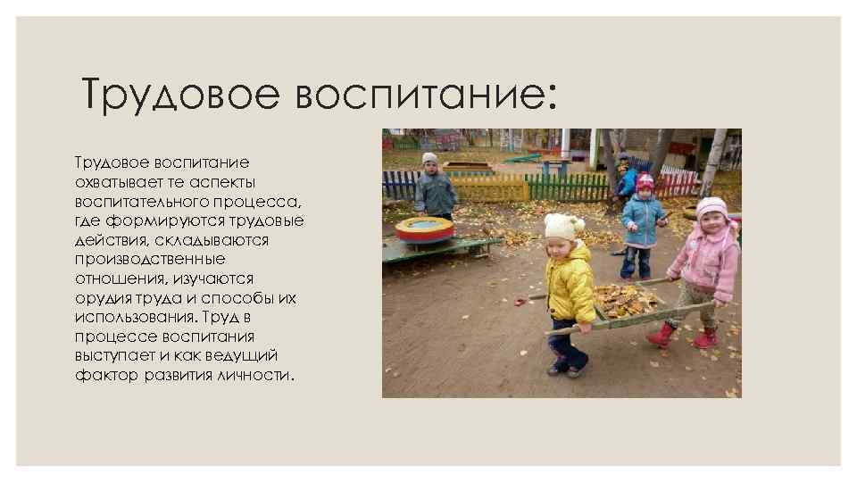 Трудовое воспитание: Трудовое воспитание охватывает те аспекты воспитательного процесса, где формируются трудовые действия, складываются