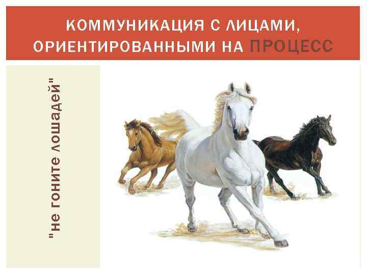 "не гоните лошадей" КОММУНИКАЦИЯ С ЛИЦАМИ, ОРИЕНТИРОВАННЫМИ НА ПРОЦЕСС 