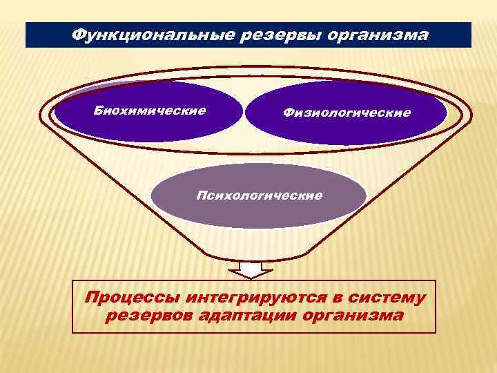 Резервы организма. Функциональные резервы организма. Адаптационные резервы человека. Функциональные резервы адаптации организма. Физиологические резервы.