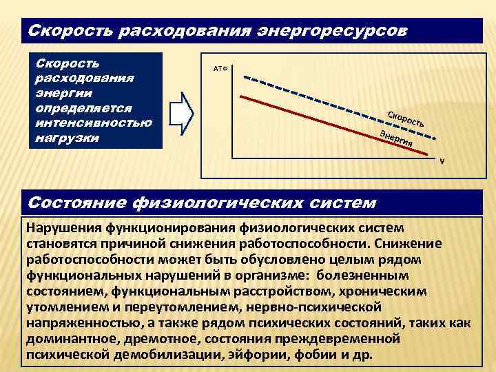 Скорость расходования энергоресурсов Скорость расходования энергии определяется интенсивностью нагрузки АТФ Скор ость Эне ргия