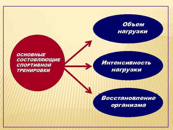 Объем нагрузки ОСНОВНЫЕ СОСТОВЛЯЮЩИЕ СПОРТИВНОЙ ТРЕНИРОВКИ Интенсивность нагрузки Восстановление организма 