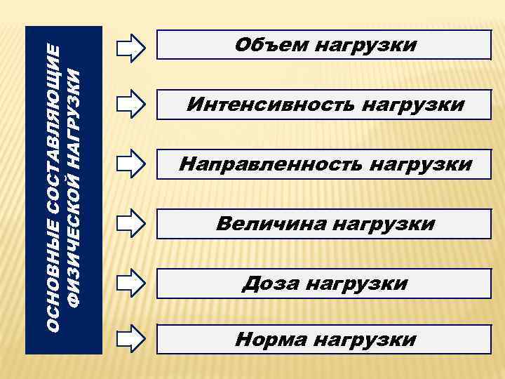 ОСНОВНЫЕ СОСТАВЛЯЮЩИЕ ФИЗИЧЕСКОЙ НАГРУЗКИ Объем нагрузки Интенсивность нагрузки Направленность нагрузки Величина нагрузки Доза нагрузки