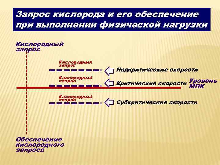 Запрос кислорода и его обеспечение при выполнении физической нагрузки Кислородный запрос Обеспечение кислородного запроса