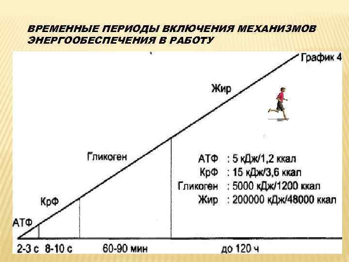 ВРЕМЕННЫЕ ПЕРИОДЫ ВКЛЮЧЕНИЯ МЕХАНИЗМОВ ЭНЕРГООБЕСПЕЧЕНИЯ В РАБОТУ 