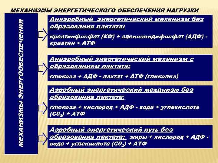 МЕХАНИЗМЫ ЭНЕРГООБЕСПЕЧЕНИЯ МЕХАНИЗМЫ ЭНЕРГЕТИЧЕСКОГО ОБЕСПЕЧЕНИЯ НАГРУЗКИ Анаэробный энергетический механизм без образования лактата: креатинфосфат (КФ)
