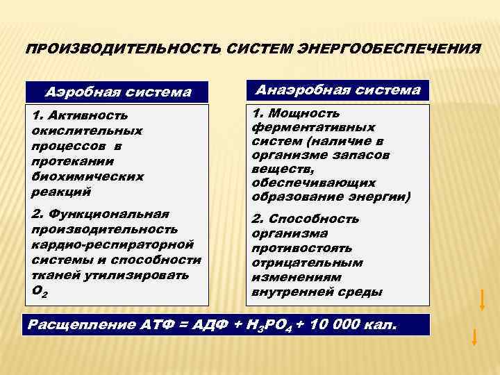 ПРОИЗВОДИТЕЛЬНОСТЬ СИСТЕМ ЭНЕРГООБЕСПЕЧЕНИЯ Аэробная система 1. Активность окислительных процессов в протекании биохимических реакций 2.