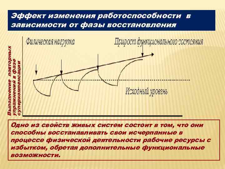 Фаза физический смысл