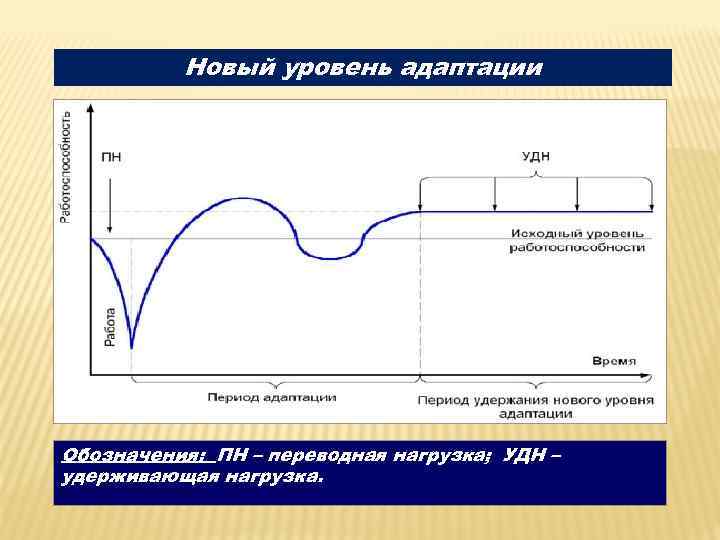Новый уровень адаптации Обозначения: ПН – переводная нагрузка; УДН – удерживающая нагрузка. 