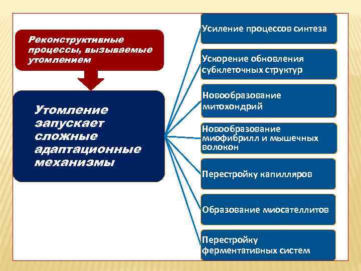 Фаерфокс запускает много процессов