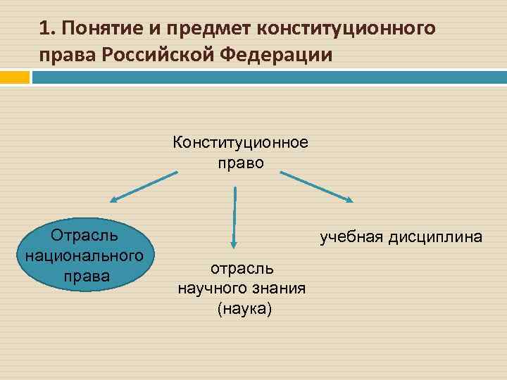 1. Понятие и предмет конституционного права Российской Федерации Конституционное право Отрасль национального права учебная