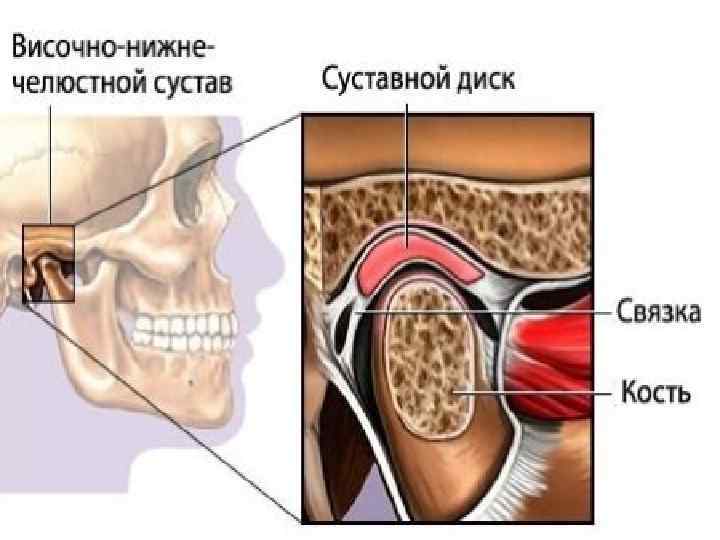 Презентация на тему вывих нижней челюсти
