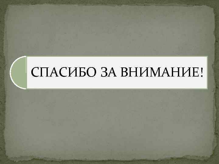 СПАСИБО ЗА ВНИМАНИЕ! 