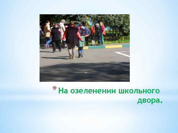 * На озеленении школьного двора. 