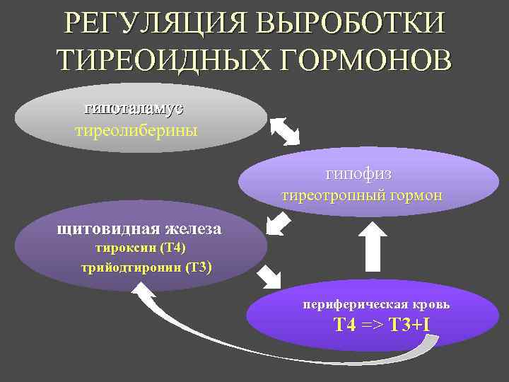 РЕГУЛЯЦИЯ ВЫРОБОТКИ ТИРЕОИДНЫХ ГОРМОНОВ гипоталамус тиреолиберины гипофиз тиреотропный гормон щитовидная железа тироксин (T 4)