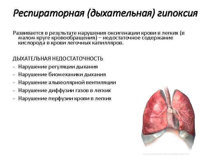 Респираторная (дыхательная) гипоксия Развивается в результате нарушения оксигенации крови в легких (в малом круге