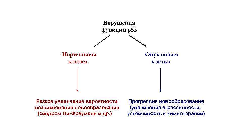 Нарушения функции р53 Нормальная клетка Резкое увеличение вероятности возникновения новообразования (синдром Ли-Фраумени и др.