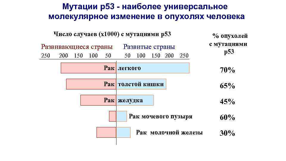 Мутации р53 - наиболее универсальное молекулярное изменение в опухолях человека Число случаев (х1000) с