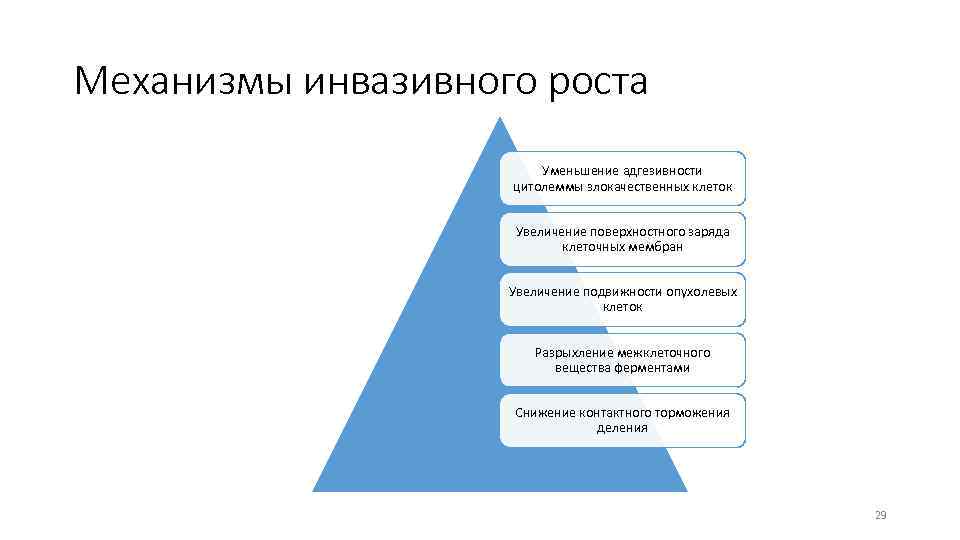 Механизмы инвазивного роста Уменьшение адгезивности цитолеммы злокачественных клеток Увеличение поверхностного заряда клеточных мембран Увеличение