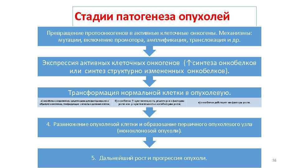 Стадии патогенеза опухолей Превращение протоонкогенов в активные клеточные онкогены. Механизмы: мутации, включение промотора, амплификация,