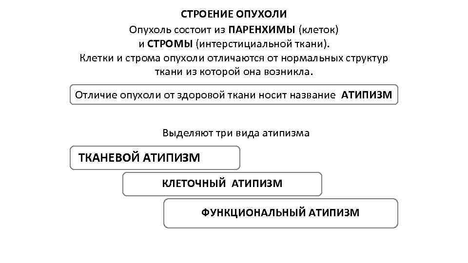 СТРОЕНИЕ ОПУХОЛИ Опухоль состоит из ПАРЕНХИМЫ (клеток) и СТРОМЫ (интерстициальной ткани). Клетки и строма