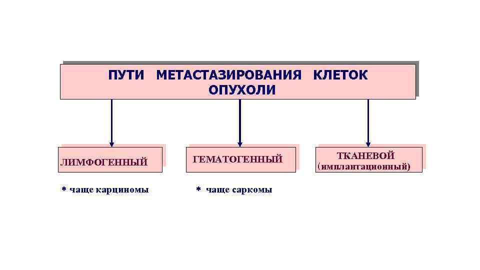 ПУТИ МЕТАСТАЗИРОВАНИЯ КЛЕТОК ОПУХОЛИ ЛИМФОГЕННЫЙ * чаще карциномы ГЕМАТОГЕННЫЙ * чаще саркомы ТКАНЕВОЙ (имплантационный)