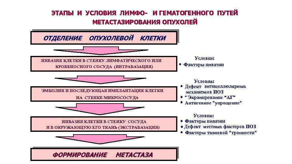 ЭТАПЫ И УСЛОВИЯ ЛИМФО- И ГЕМАТОГЕННОГО ПУТЕЙ МЕТАСТАЗИРОВАНИЯ ОПУХОЛЕЙ ОТДЕЛЕНИЕ ОПУХОЛЕВОЙ КЛЕТКИ ИНВАЗИЯ КЛЕТКИ