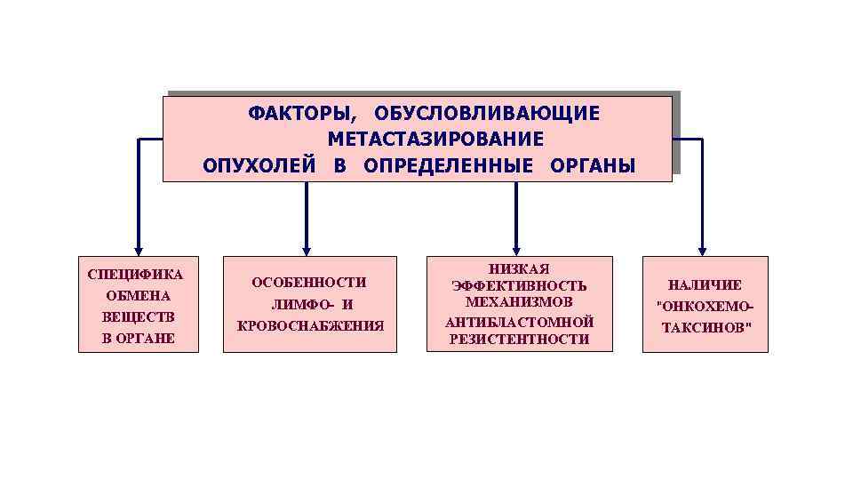 ФАКТОРЫ, ОБУСЛОВЛИВАЮЩИЕ МЕТАСТАЗИРОВАНИЕ ОПУХОЛЕЙ В ОПРЕДЕЛЕННЫЕ ОРГАНЫ СПЕЦИФИКА ОБМЕНА ВЕЩЕСТВ В ОРГАНЕ ОСОБЕННОСТИ ЛИМФО-