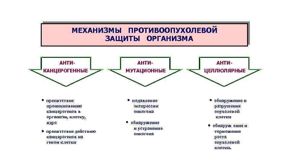 МЕХАНИЗМЫ ПРОТИВООПУХОЛЕВОЙ ЗАЩИТЫ ОРГАНИЗМА АНТИКАНЦЕРОГЕННЫЕ · препятствие проникновению канцерогенов в организм, клетку, ядро ·