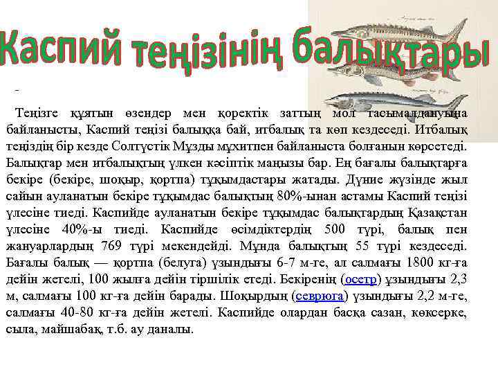  Теңізге құятын өзендер мен қоректік заттың мол тасымалдануына байланысты, Каспий теңізі балыққа бай,