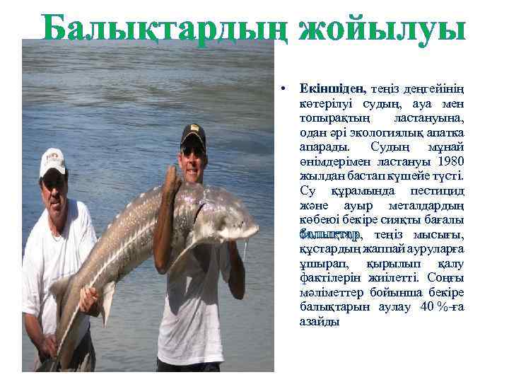 Балықтардың жойылуы • Екіншіден, теңіз деңгейінің көтерілуі судың, ауа мен топырақтың ластануына, одан әрі