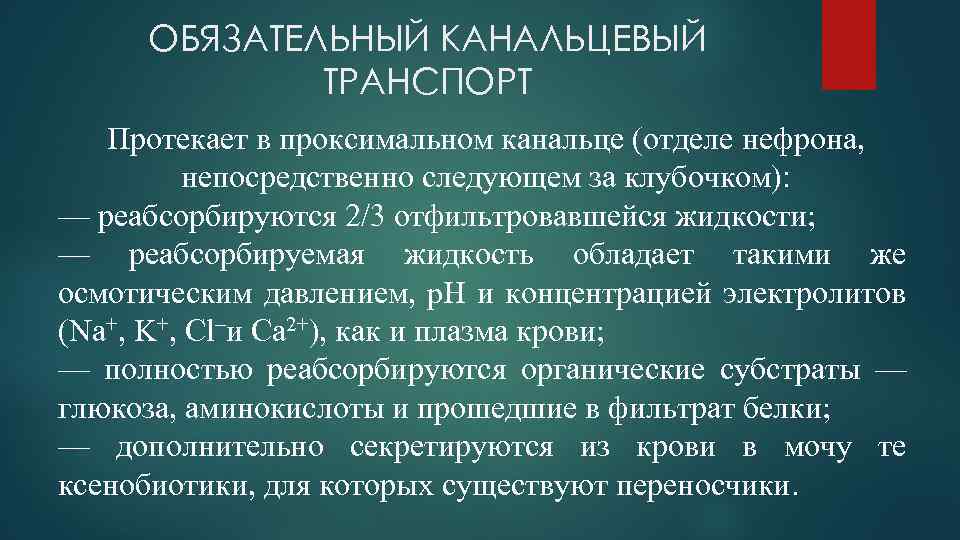 ОБЯЗАТЕЛЬНЫЙ КАНАЛЬЦЕВЫЙ ТРАНСПОРТ Протекает в проксимальном канальце (отделе нефрона, непосредственно следующем за клубочком): —