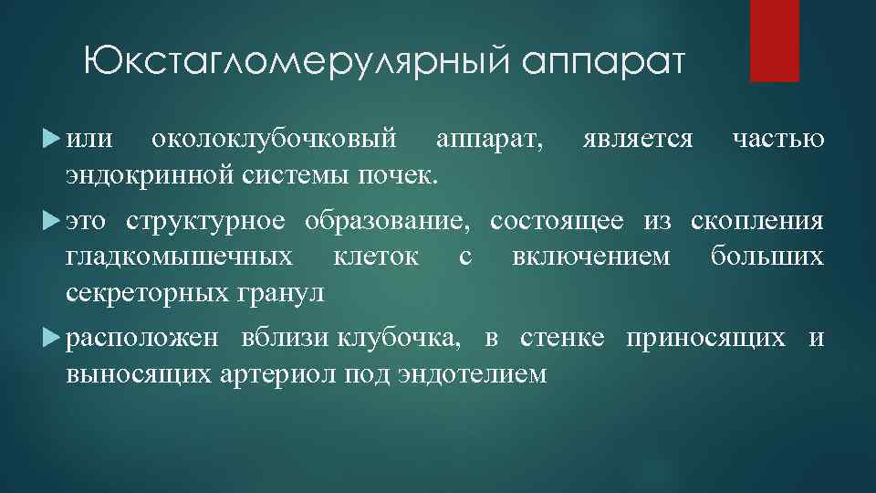 Юкстагломерулярный аппарат или околоклубочковый аппарат, эндокринной системы почек. является частью это структурное образование, состоящее