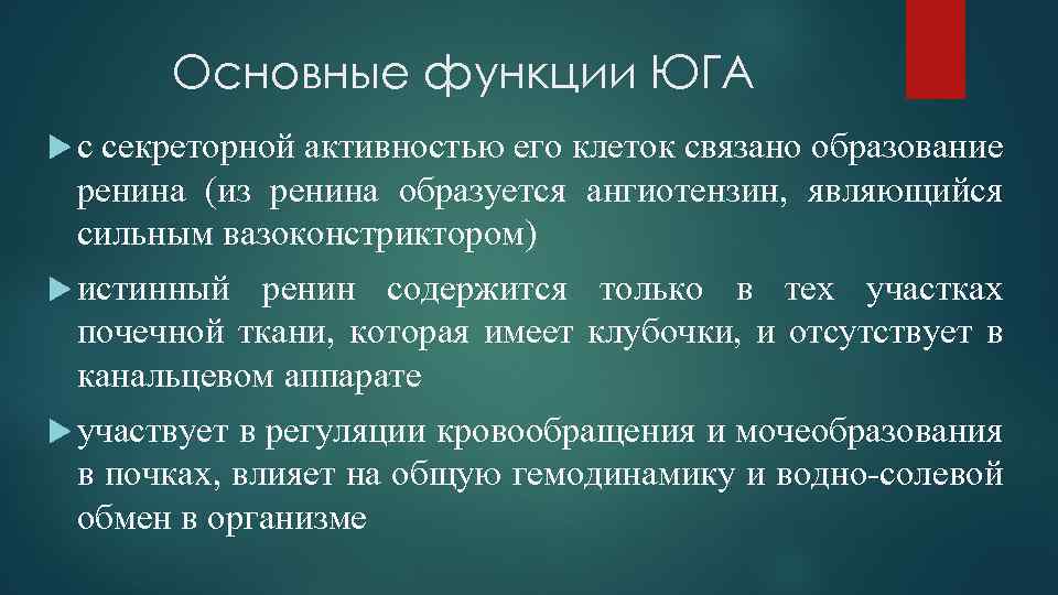 Основные функции ЮГА с секреторной активностью его клеток связано образование ренина (из ренина образуется