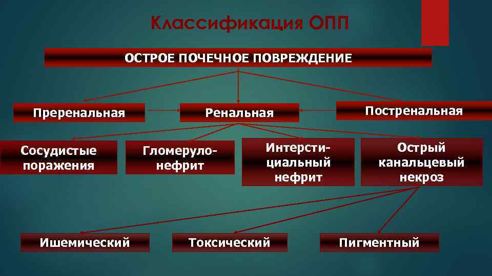 Классификация ОПП ОСТРОЕ ПОЧЕЧНОЕ ПОВРЕЖДЕНИЕ Преренальная Сосудистые поражения Ишемический Ренальная Гломерулонефрит Интерстициальный нефрит Токсический