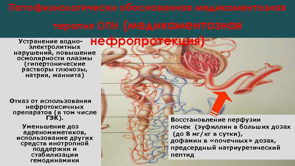 Патофизиологически обоснованная медикаментозная (медикаментозная нефропротекция) терапия ОПН Устранение водноэлектролитных нарушений, повышение осмолярности плазмы (гипертонические