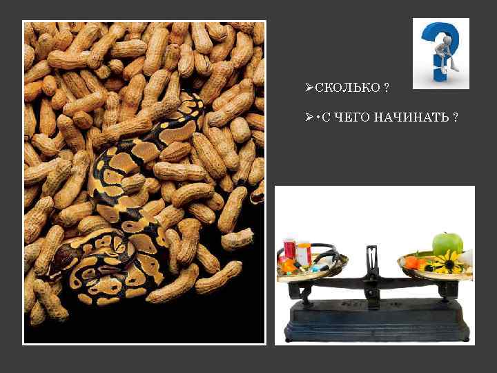 ØСКОЛЬКО ? Ø • С ЧЕГО НАЧИНАТЬ ? 