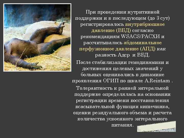 При проведении нутритивной поддержки и в последующем (до 3 сут) регистрировалось внутрибрюшное давление (ВБД)