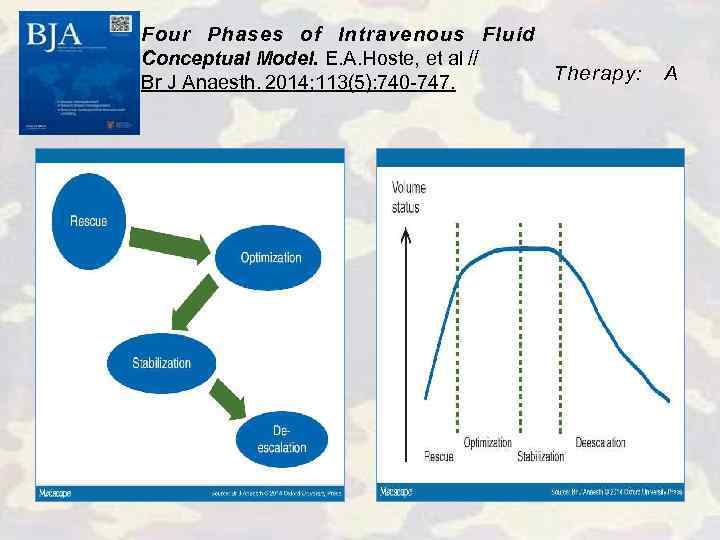 Four Phases of Intravenous Fluid Conceptual Model. E. A. Hoste, et al // Therapy: