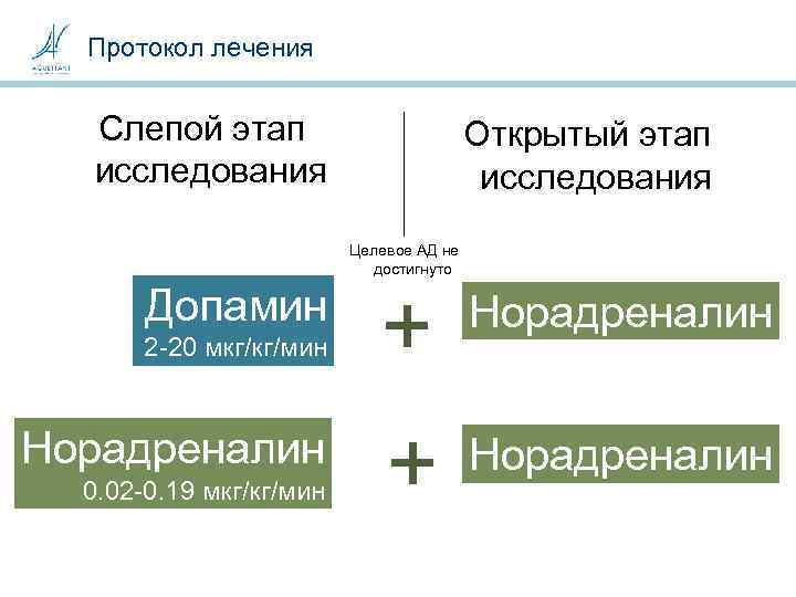 Протокол лечения Слепой этап исследования Открытый этап исследования Целевое АД не достигнуто Допамин 2