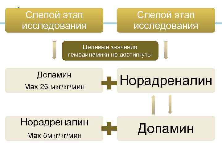 Слепой этап исследования Целевые значения гемодинамики не достигнуты Допамин Мах 25 мкг/кг/мин Норадреналин Мах