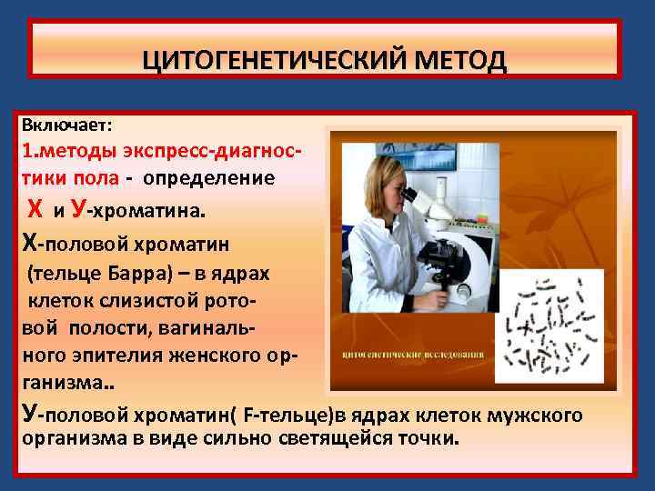 ЦИТОГЕНЕТИЧЕСКИЙ МЕТОД Включает: 1. методы экспресс-диагностики пола - определение Х и У-хроматина. Х-половой хроматин