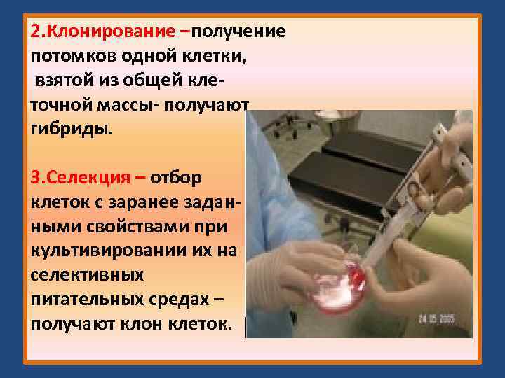 2. Клонирование –получение потомков одной клетки, взятой из общей клеточной массы- получают гибриды. 3.